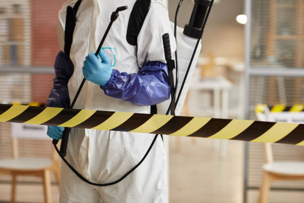 Professional Blood Cleanup technician working in Wallace, CA